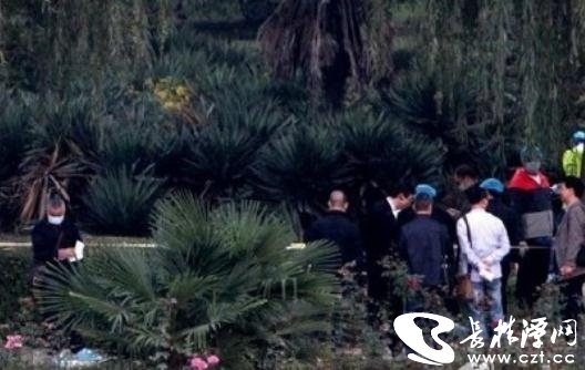 20151026025023831 20151026025023831