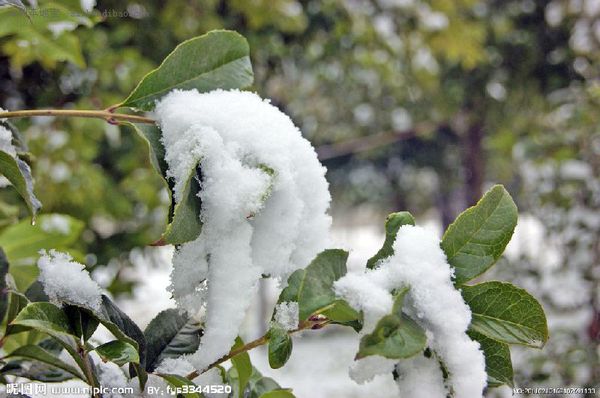 8846785620893284674 8846785620893284674