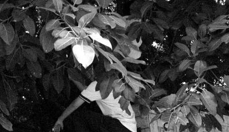 组图:学生受伤被冻死 网友:比当年翻墙掉茅坑还悲剧肠胃