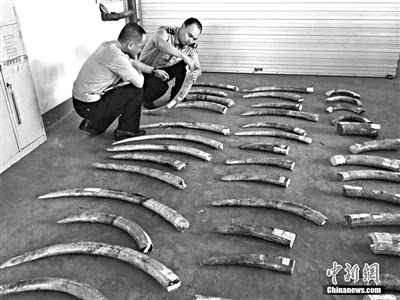 144830682324454256 144830682324454256