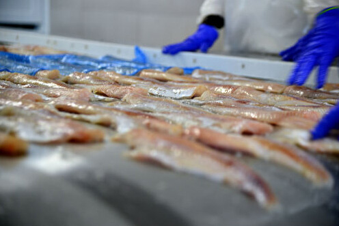 MAIN201511250723000041537086635 MAIN201511250723000041537086635