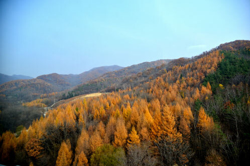 MAIN201511250722000152383848767 MAIN201511250722000152383848767