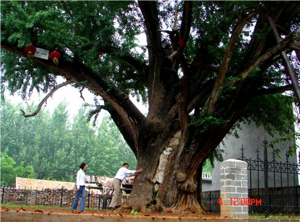 1c950a7b02087bf4bbc110a3f2d3572c11dfcf4f 1c950a7b02087bf4bbc110a3f2d3572c11dfcf4f