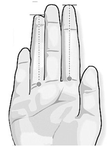 U595P4T8D7640940F107DT20151125142312 U595P4T8D7640940F107DT20151125142312