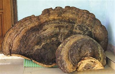 3858860400 3858860400