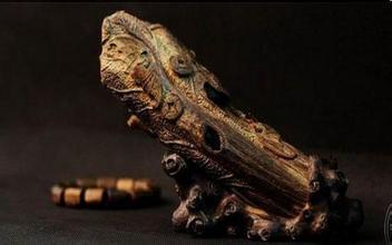 u=2993623047,3558093481&fm=21&gp=0 u=2993623047,3558093481&fm=21&gp=0