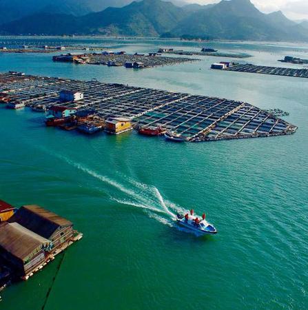 1117225777_14482461998971n 1117225777_14482461998971n