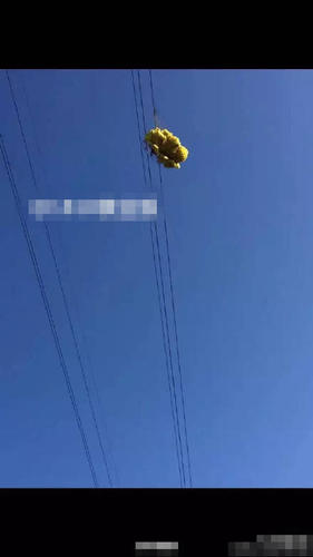 　　玩滑翔伞男子挂在高压线上。