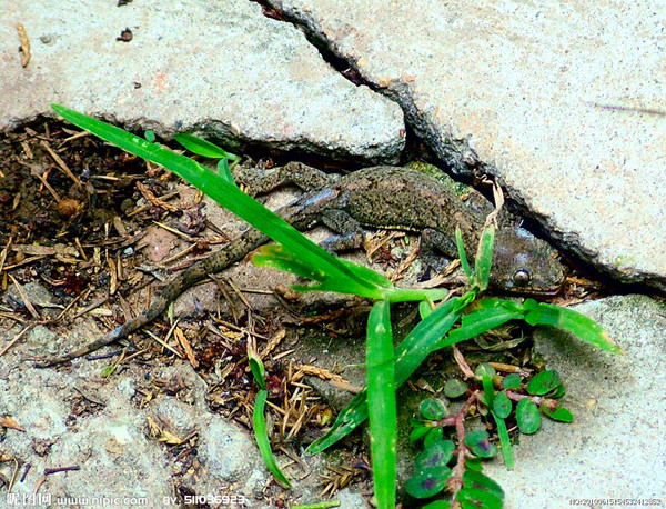 1753633_154532412852_2 1753633_154532412852_2