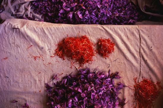 3T6M-fxmazmy2097642 3T6M-fxmazmy2097642