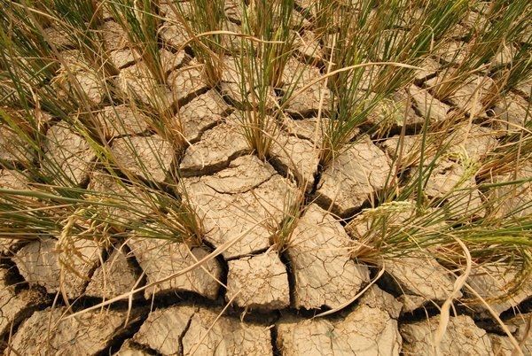 极端天气给人类带来巨大损失 极端天气给人类带来巨大损失