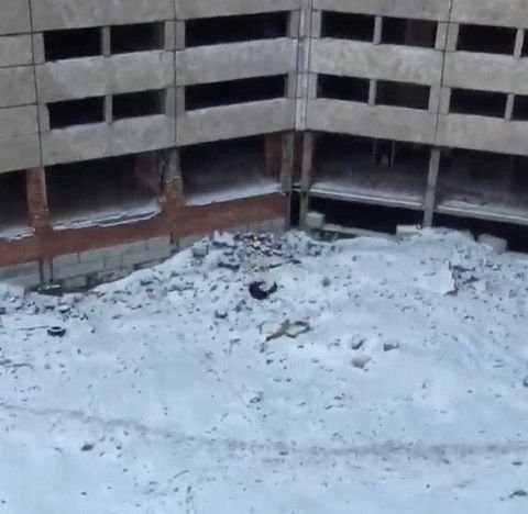 d8cb8a4d0ad617c602ed31