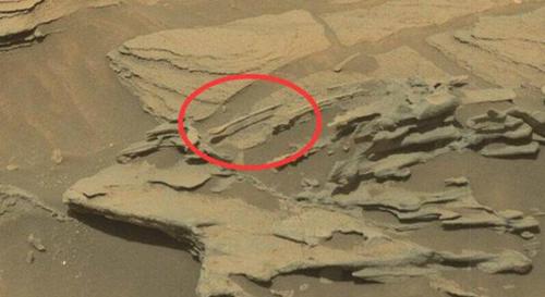 火星疑现啮齿动物