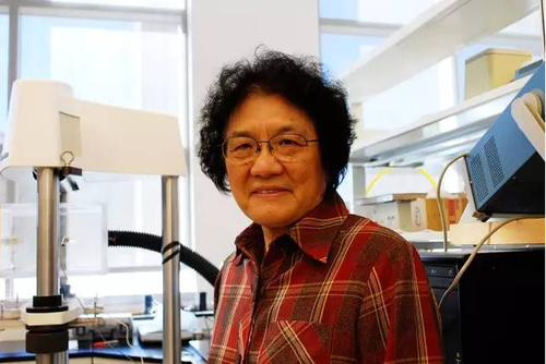 1117310621_14489294526111n 1117310621_14489294526111n