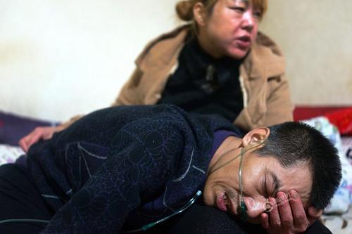 11847378_133919 11847378_133919