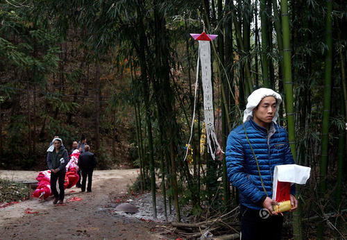 11847385_752030 11847385_752030