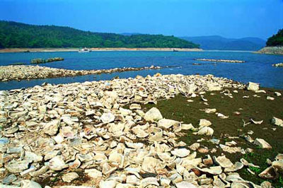 0023aea9de410bf7613835 0023aea9de410bf7613835