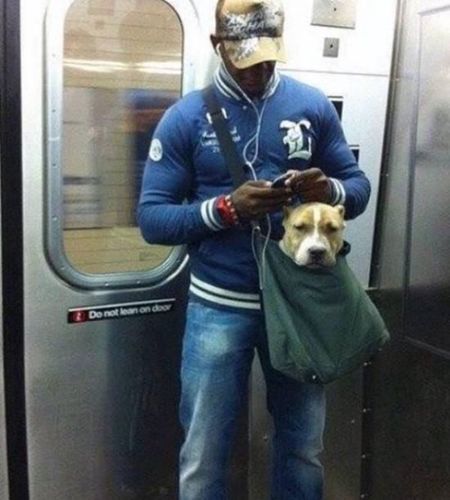 所以，以后这样可以坐火车吗？1