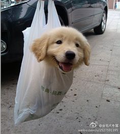 所以，以后这样可以坐火车吗？