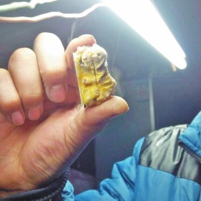 毛先生从公鸡腹中取出的肉疙瘩 毛先生从公鸡腹中取出的肉疙瘩