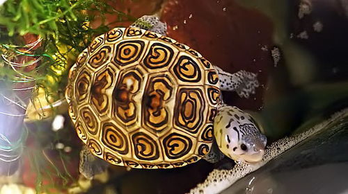 118b3534349b033b3777cfcb17ce36d3d439bd41 118b3534349b033b3777cfcb17ce36d3d439bd41