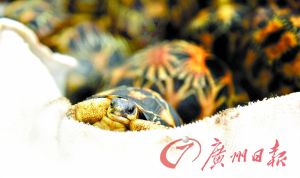 73C91715D0B139B6460249773D8E6DE8 73C91715D0B139B6460249773D8E6DE8