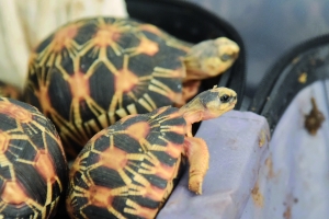 1438734848621 1438734848621