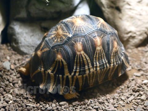 1532932preview4 1532932preview4