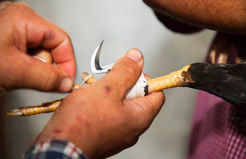 201512031041334b6ac_550 201512031041334b6ac_550