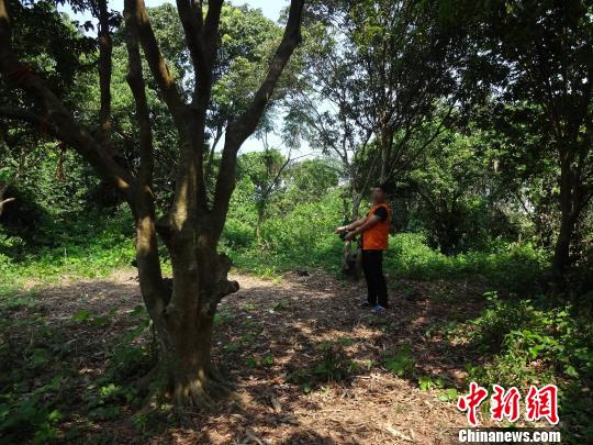 野外开赌场网络招嫖 广东警方通报多起黄赌案件2 野外开赌场网络招嫖 广东警方通报多起黄赌案件2