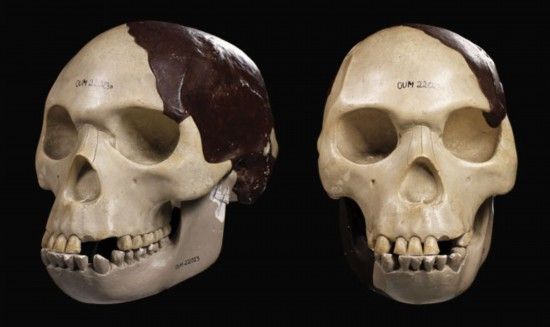 W020121107634021538667 W020121107634021538667