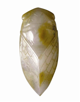 6206540906871832455 6206540906871832455