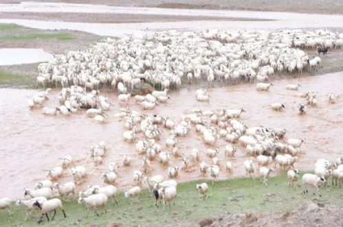 1449218149656 1449218149656