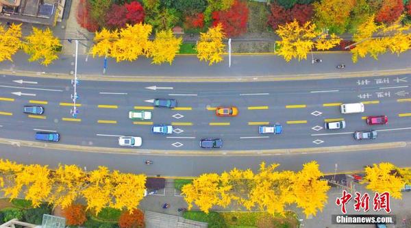 360截图20151206111122651