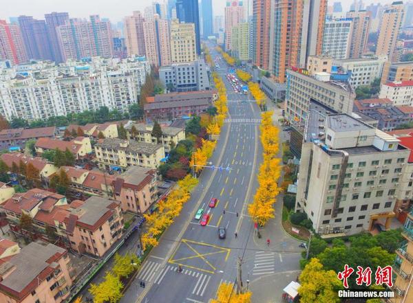 360截图20151206111136325