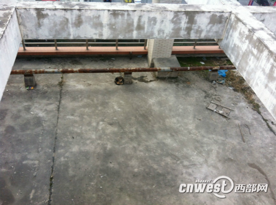 西安一医学院实验用狗疑遭弃 工作人员:不得已2 西安一医学院实验用狗疑遭弃 工作人员:不得已2