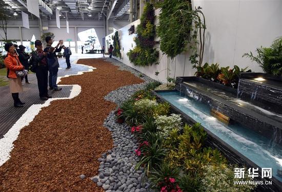 12月5日，观众在台北举行的2015园艺景观及绿屋顶设计大展上参观。