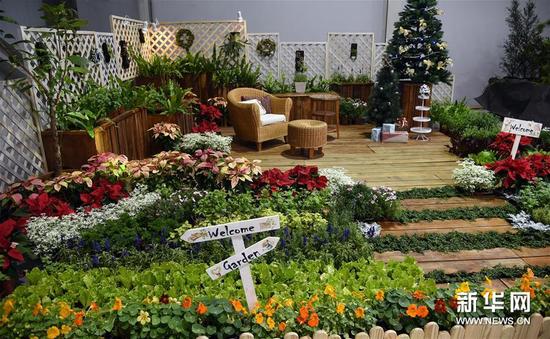 这是12月5日在台北2015园艺景观及绿屋顶设计大展上拍摄的作品“彩虹菜园中绿色圣诞节”。