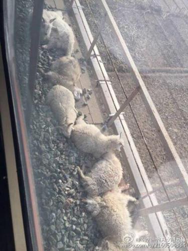 804D541D391144D3463A5707A112BB39 804D541D391144D3463A5707A112BB39