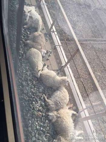 134894759_14495332442751n 134894759_14495332442751n