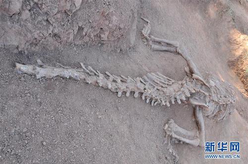 128507818_14495280750241n 128507818_14495280750241n