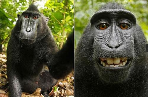 当自拍已成习惯：有时是“病”有时要命（图）