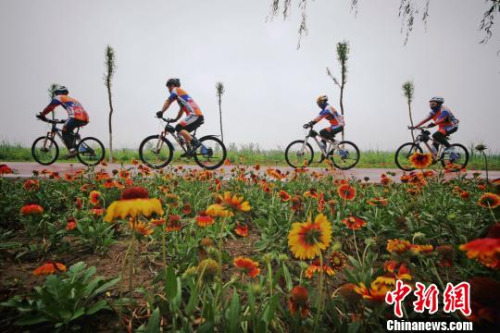 资料图。佟郁　摄