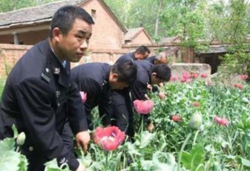 15763993062191684842 15763993062191684842