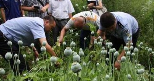 2785771439905239559 2785771439905239559