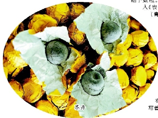 C2015-12-09zx501_P_1_69_1749_577_2129 C2015-12-09zx501_P_1_69_1749_577_2129