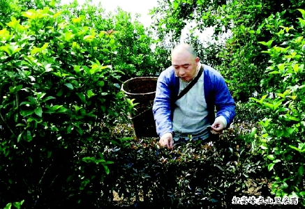 C2015-12-09zx501_P_1_800_670_1484_1139 C2015-12-09zx501_P_1_800_670_1484_1139