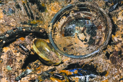 res01_attpic_brief res01_attpic_brief