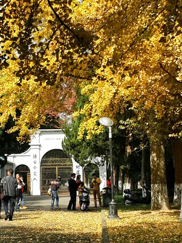 68f728ccfde117d1f18422 68f728ccfde117d1f18422