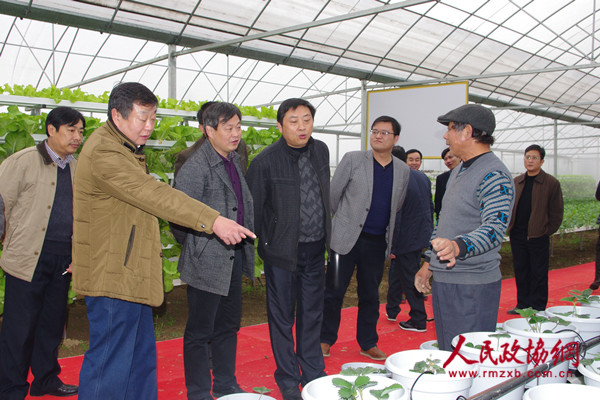 江西都昌县政协调研现代农业发展情况